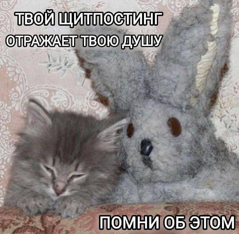 ОДРАЖАЕТ ТВОЮ ДУШУ 7 VES ПОМНИ ОБ ЭТОМ