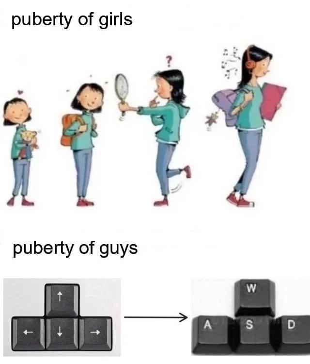 puberty of girls puberty of guys