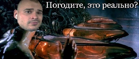 Погодите, это реально?