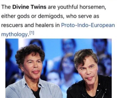 The Divine Twins are youthful horsemen, either gods or demigods, who serve as rescuers and healers in