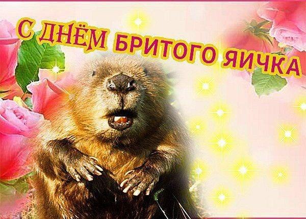 4 Б И у РИТОГ у у 7 3 +5 777 A за a as у 6 i