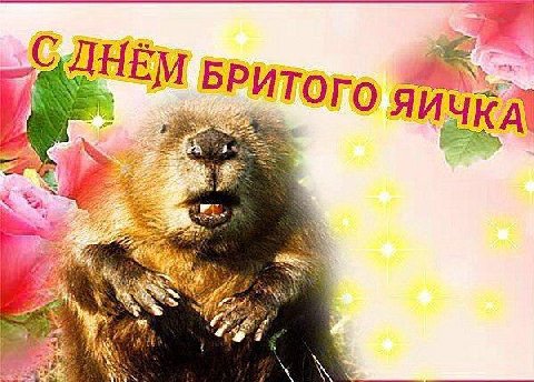 4 Б И у РИТОГ у у 7 3 +5 777 A за a as у 6 i