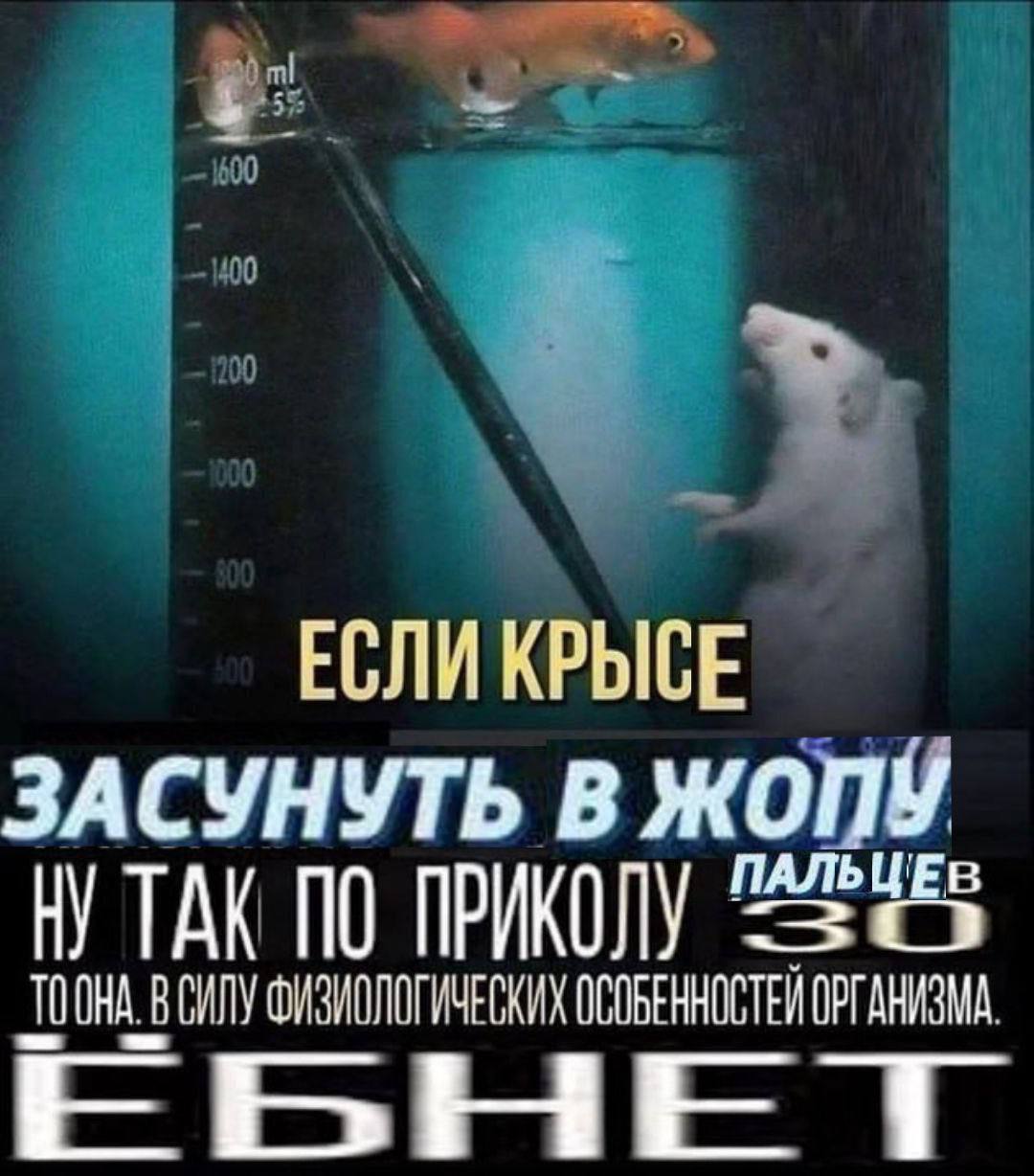 600 400 ЕСЛИ ЗАСУНУТЬ В ЖОПУ ТАК ПО ПРИКОЛУ ВСИЛУ ФИЗИОЛОГИЧЕСКИХ ОСОБЕННОСТЕЙ ОРГАНИЗМА.