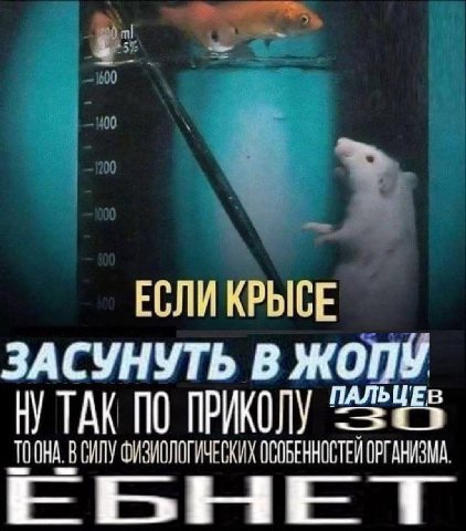 600 400 ЕСЛИ ЗАСУНУТЬ В ЖОПУ ТАК ПО ПРИКОЛУ ВСИЛУ ФИЗИОЛОГИЧЕСКИХ ОСОБЕННОСТЕЙ ОРГАНИЗМА.