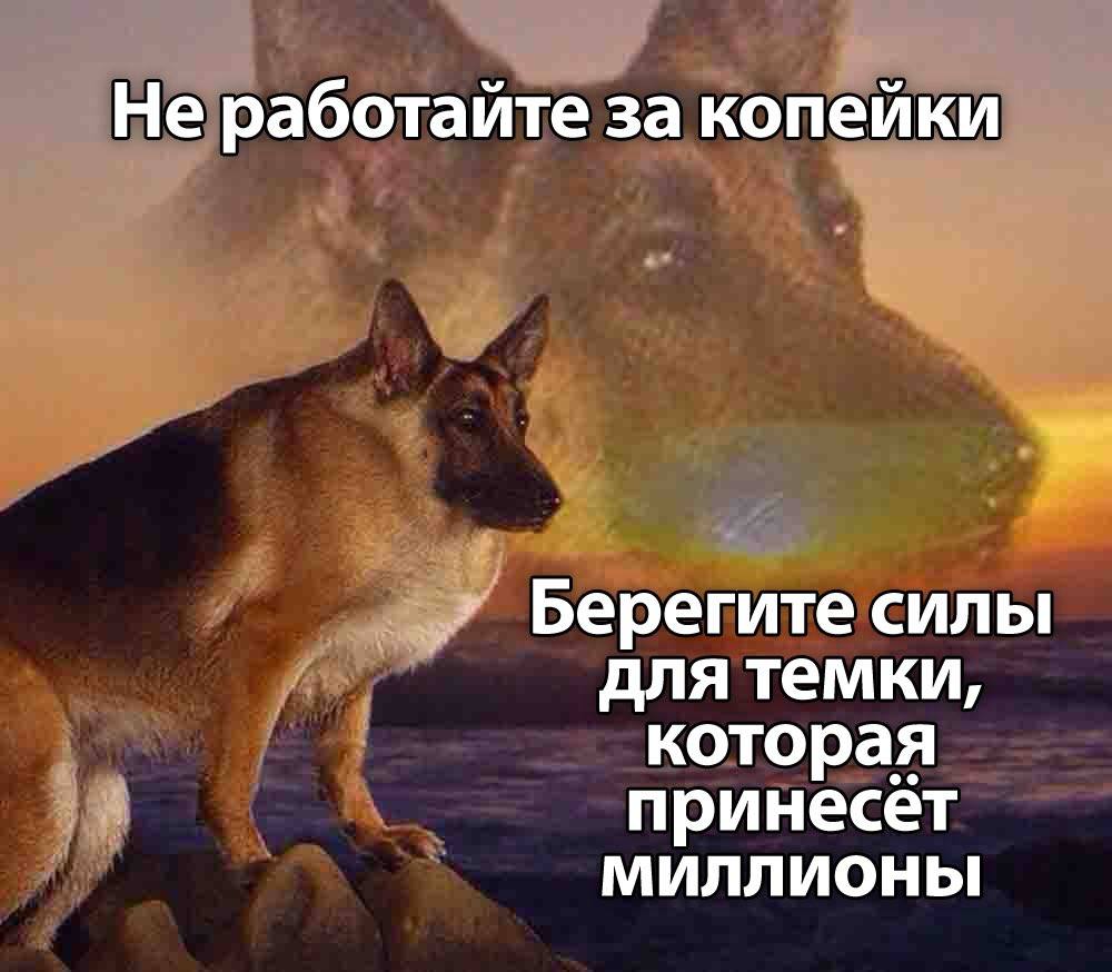 Не работайте за копейки Берегите силы для темки, которая принесёт МИЛЛИОНЫ
