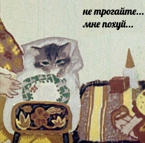 не трогаите ‚мне похуй