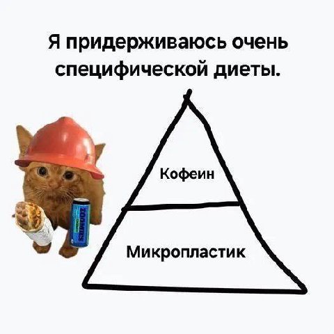 Я придерживаюсь очень специфической диеты. Кофеин
