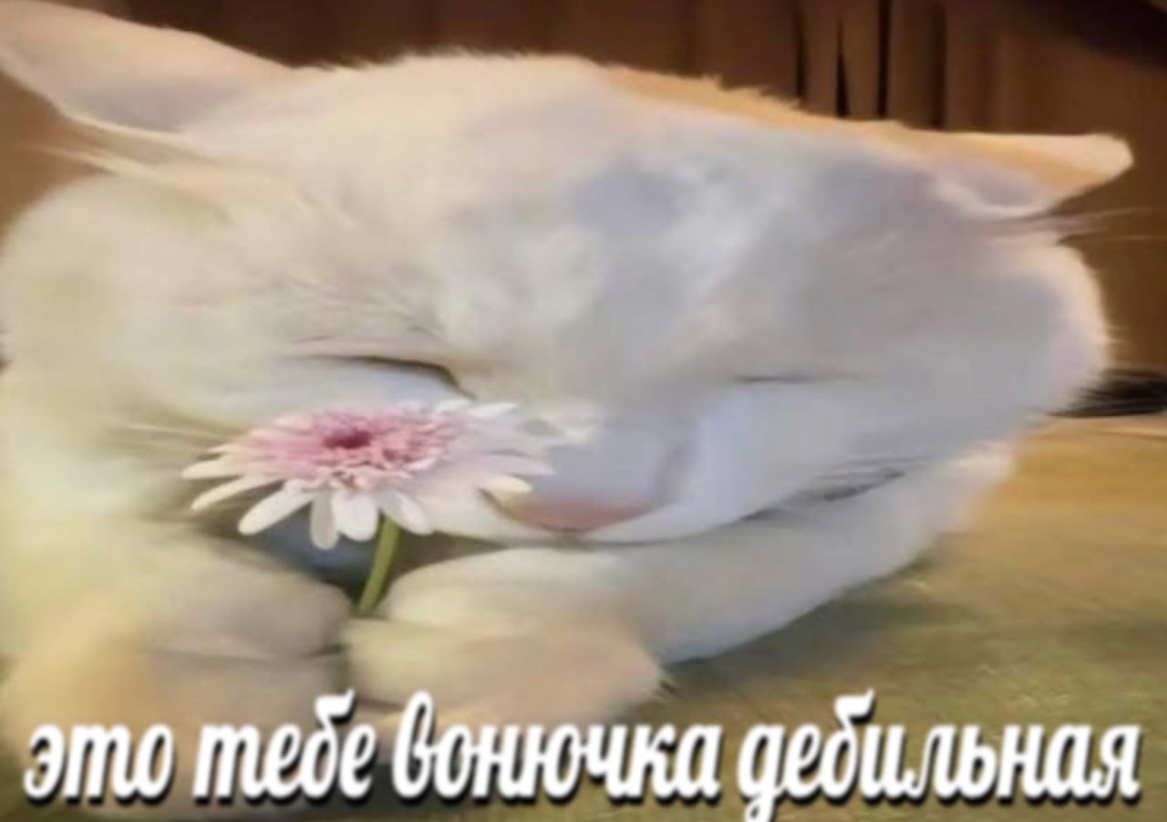 у это тебе GonrouKa дебильная