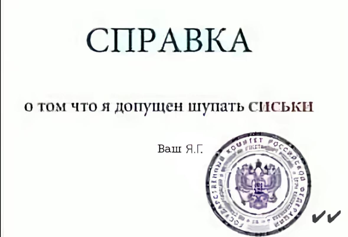 СПРАВКА о том что я допущен шупать Ваш с