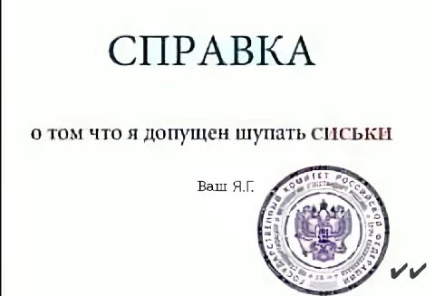 СПРАВКА о том что я допущен шупать Ваш с