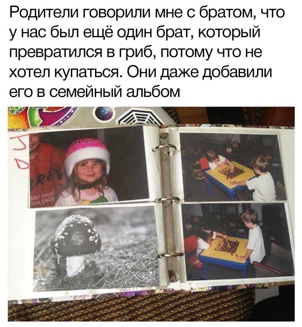 Родители говорили мне с братом, что унас был ещё один брат, который превратился в гриб, потому что не хотел купаться. Они даже добавили его в семейный альбом AS 2. 1 В В