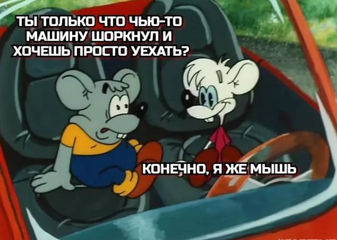 ТЫ ТОЛЬКО ЧТО ЧЬЮ-ТО МАШИНУ ШОРКНУЛ И ХОЧЕШЬ ПРОСТО УЕХАТЬ? as КОНЕЧНО, Я ЖЕМЫШ