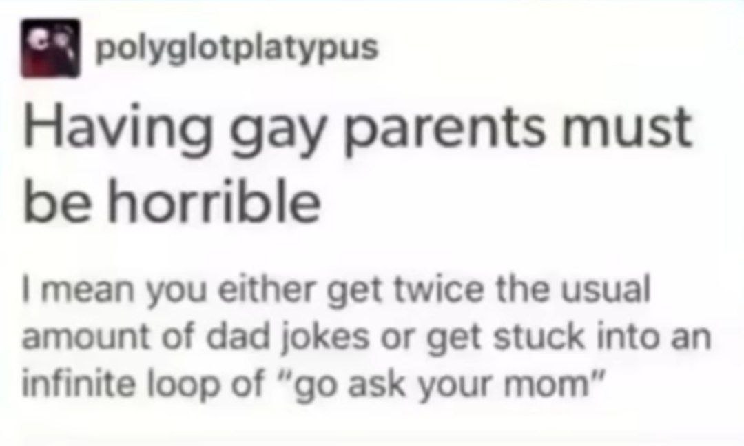 polyglotplatypus Having gay parents must be horrible mean you either get twice the usual amount of dad jokes or get stuck into an infinite loop of ask your mom”