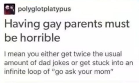 polyglotplatypus Having gay parents must be horrible mean you either get twice the usual amount of dad jokes or get stuck into an infinite loop of ask your mom”