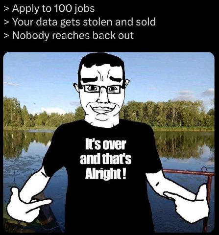 Apply to 100 jobs Your data gets stolen and sold Nobody reaches back out it's over and that's Alright