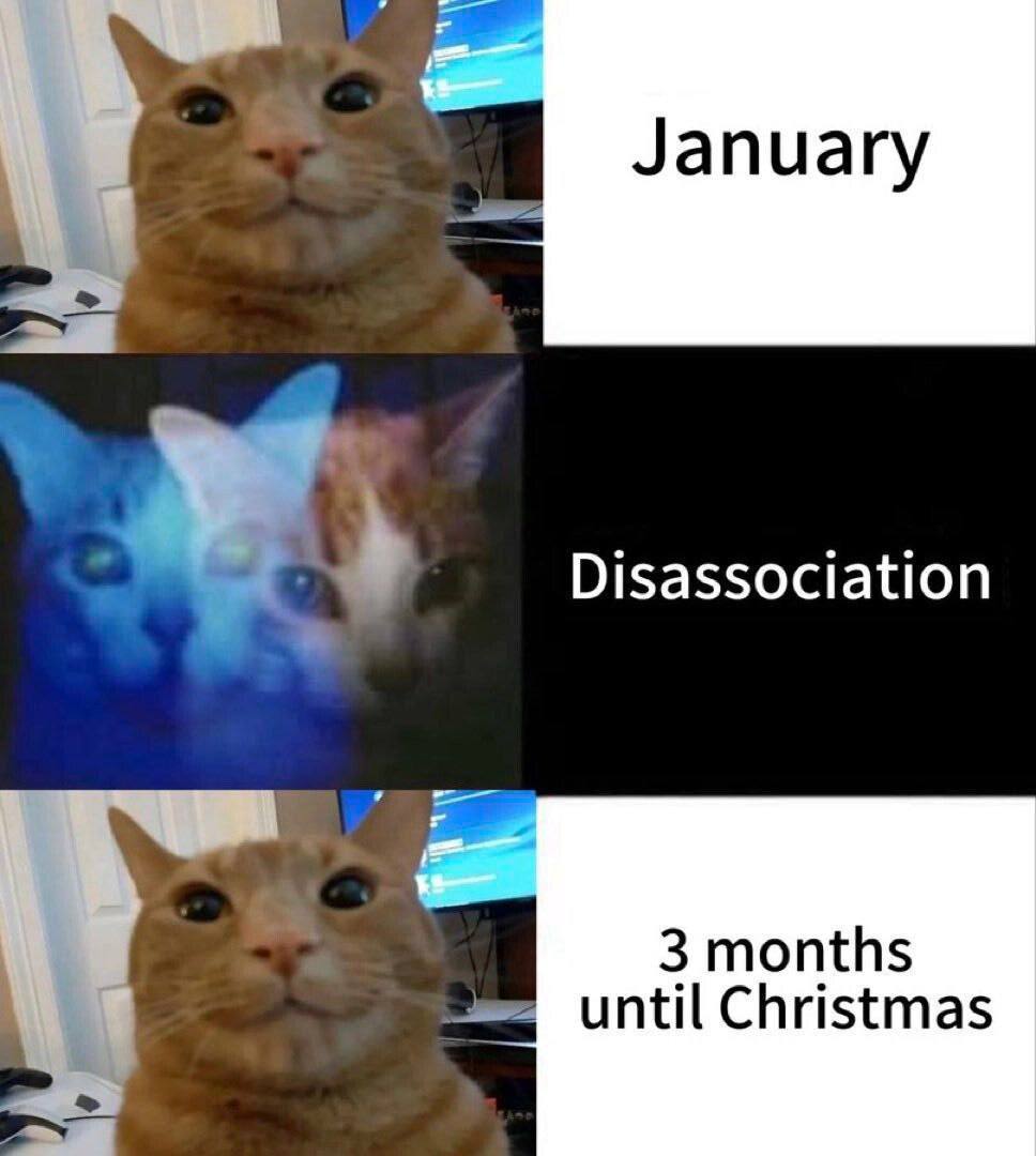 Disassociation 3 months until Christmas