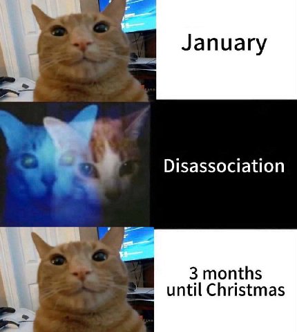 Disassociation 3 months until Christmas