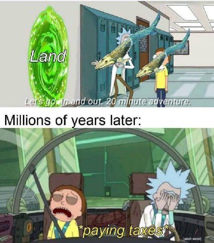 у А 4 ANIC Millions of years later: paying