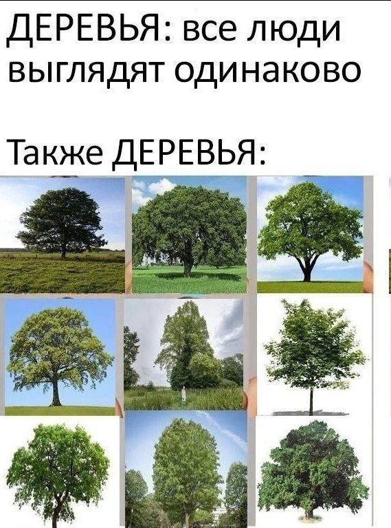 ДЕРЕВЬЯ: все люди выглядят одинаково ЕРЕВЬ Я: Также и i я 95: