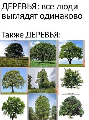 ДЕРЕВЬЯ: все люди выглядят одинаково ЕРЕВЬ Я: Также и i я 95: