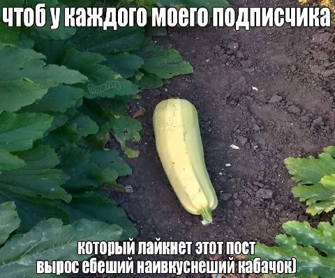 чтоб укаждого моего подписчика который лайкнет этот пост вырос ебеший наивкуснеший