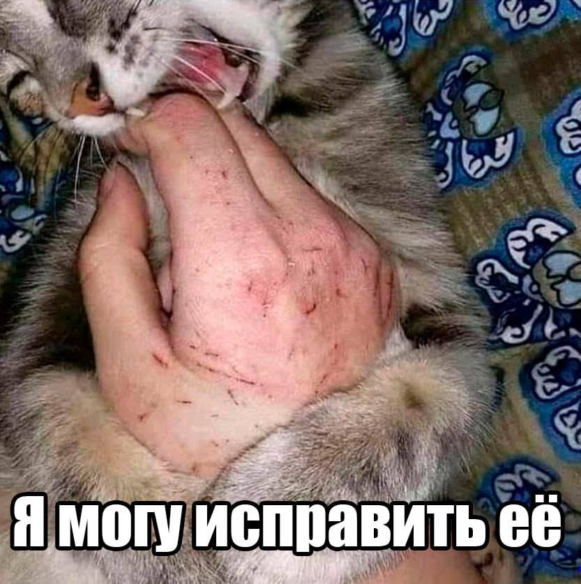 a могу ven равить её