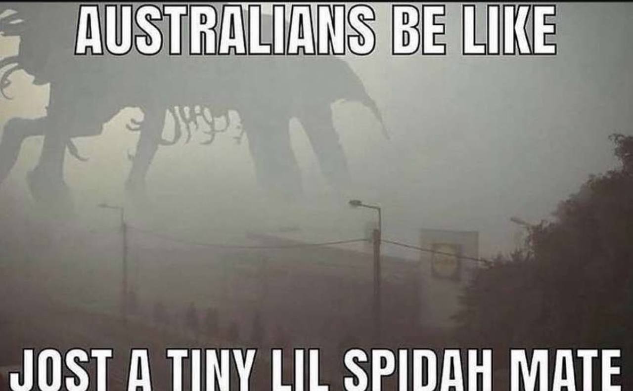 AUSTRALIANS BE LIKE JOST TINY LIL SPIDOH MATE