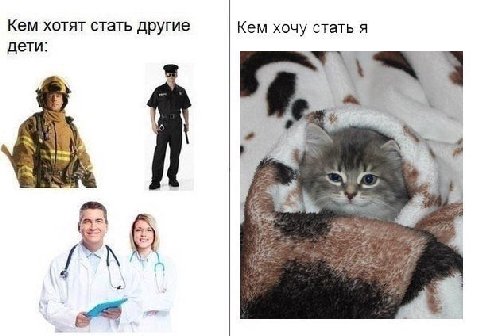 Кем хотят стать другие Кем хочу стать я дети: 1 7 3%