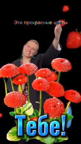 Эти прекрасные цве