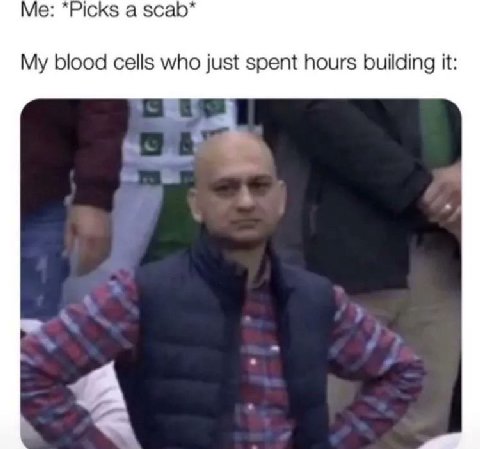 a $саб* My blood cells who just spent hours building it: