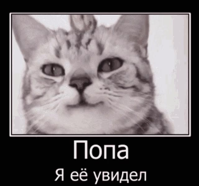 Я её увидел