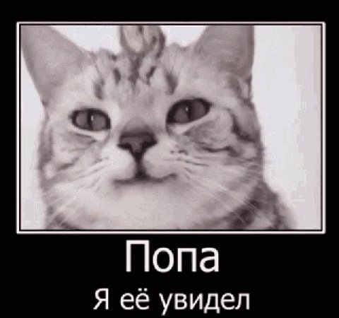 Я её увидел