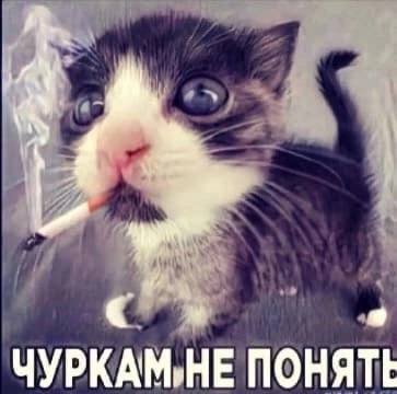 ЧУРКАМ,НЕ ПОНЯТЕ