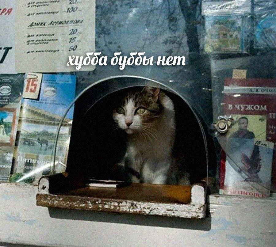 at $517 `хубба буббы нет и Я 2