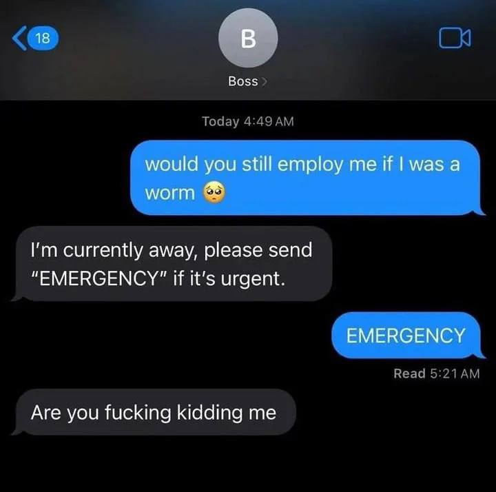 18 В Boss would you still employ me if was а currently away, please send "EMERGENCY" if it’s urgent. EMERGENCY Are you fucking kidding me