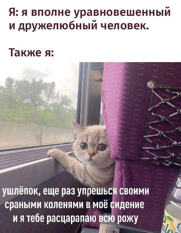 Я: я вполне уравновешенный и дружелюбный человек. Также я: ушлёпок, еще раз сраными коленями в моё сидене тебе расцарапаю всю рожу