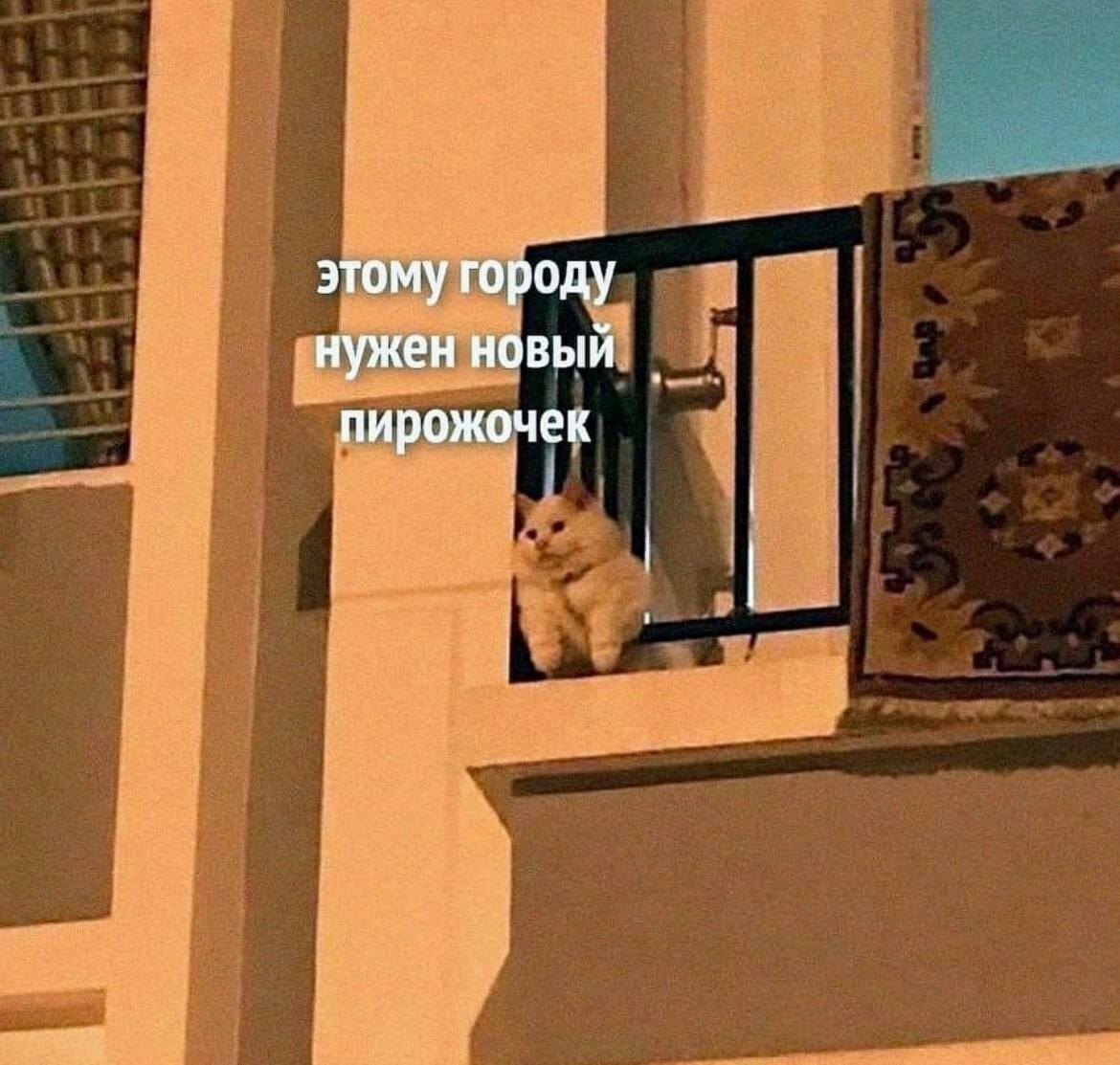 этому городу нужен новый пирожочек