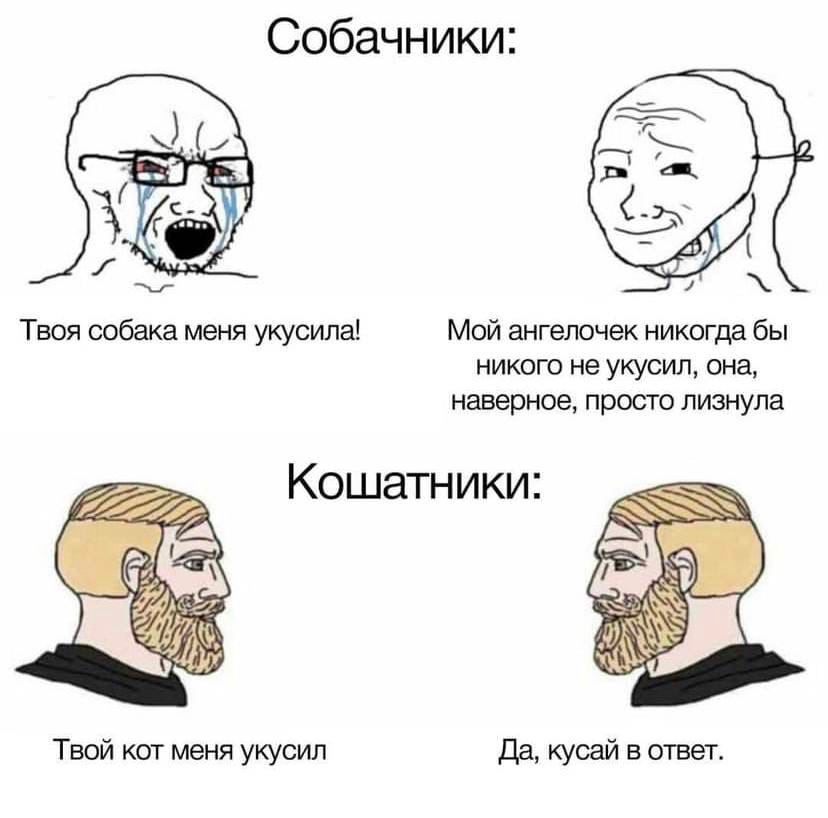 Собачники: Твоя собака меня укусила! Мой ангелочек никогда бы никого не укусил, она, наверное, просто лизнула Кошатники: Твой кот меня укусил Да, кусай в ответ.