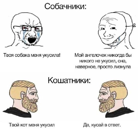 Собачники: Твоя собака меня укусила! Мой ангелочек никогда бы никого не укусил, она, наверное, просто лизнула Кошатники: Твой кот меня укусил Да, кусай в ответ.