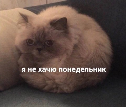я не хачю понедельник