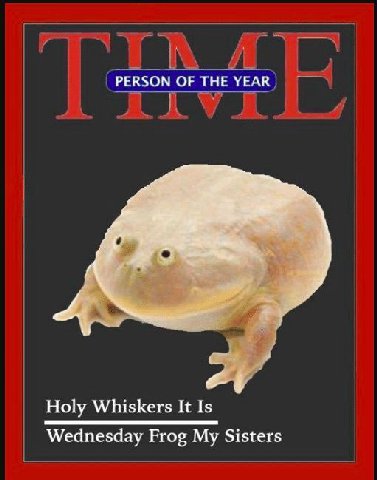 PERSON OF THE YEAR Holy Whiskers It Is Wednesday Frog My Sisters