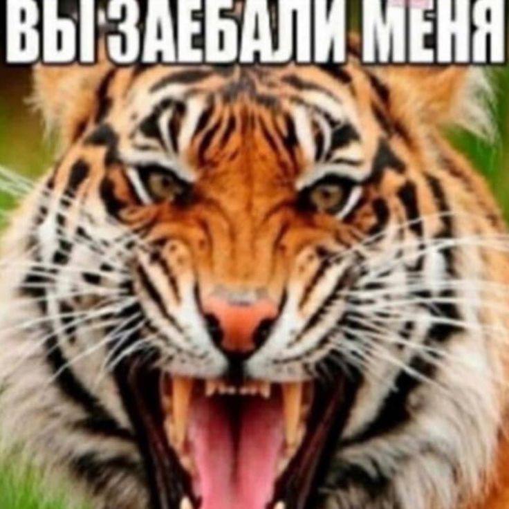 МЕНЯ