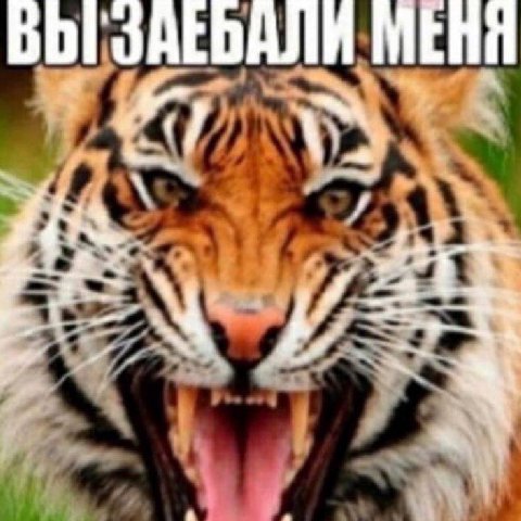 МЕНЯ