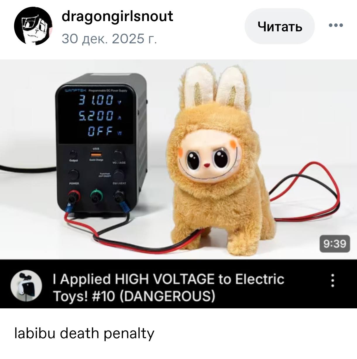 dragongirlsnout Читать дек. 2025 Applied HIGH VOLTAGE to Electric Toys! #10 (DANGEROUS) labibu death penalty