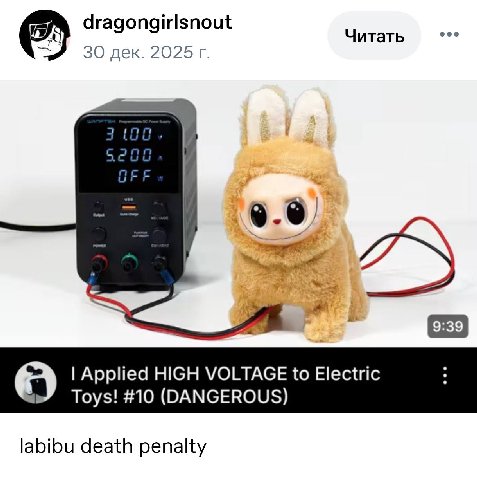 dragongirlsnout Читать дек. 2025 Applied HIGH VOLTAGE to Electric Toys! #10 (DANGEROUS) labibu death penalty