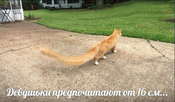 on 47. 6 предпочитают