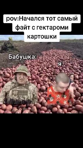 ро\м:Начался тот самый файт с гектароми ыы картошки