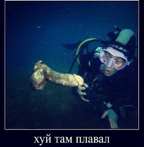хуй там плавал