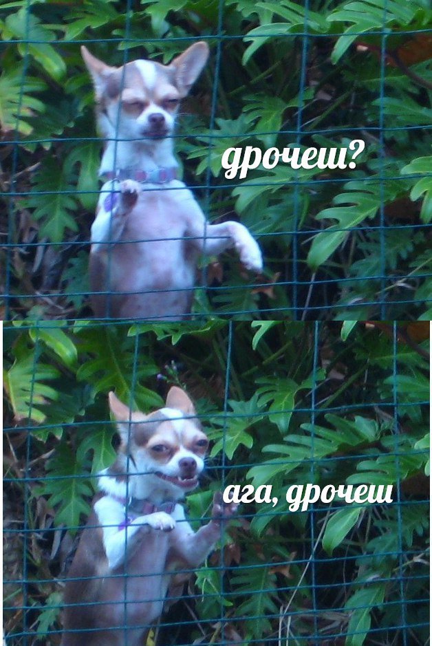 дрочеш? ага, дрочеш