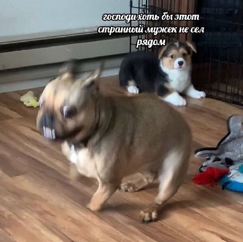 господи хоть этот странный лиужек не сел рядом